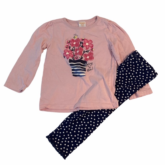 Gymboree Other - 5/$15 Gymboree pink and blue spring is in the air outside 18-24 months